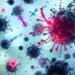 cancer fighting immune system