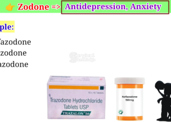 19a01107 9afb 4208 ac00 fd826582f599