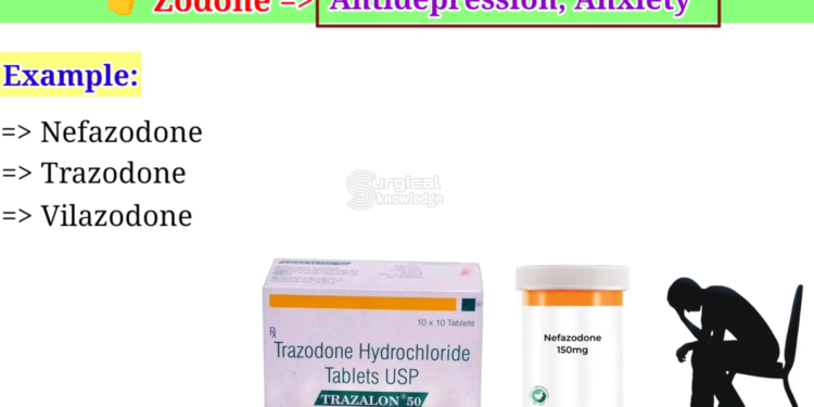 19a01107 9afb 4208 ac00 fd826582f599