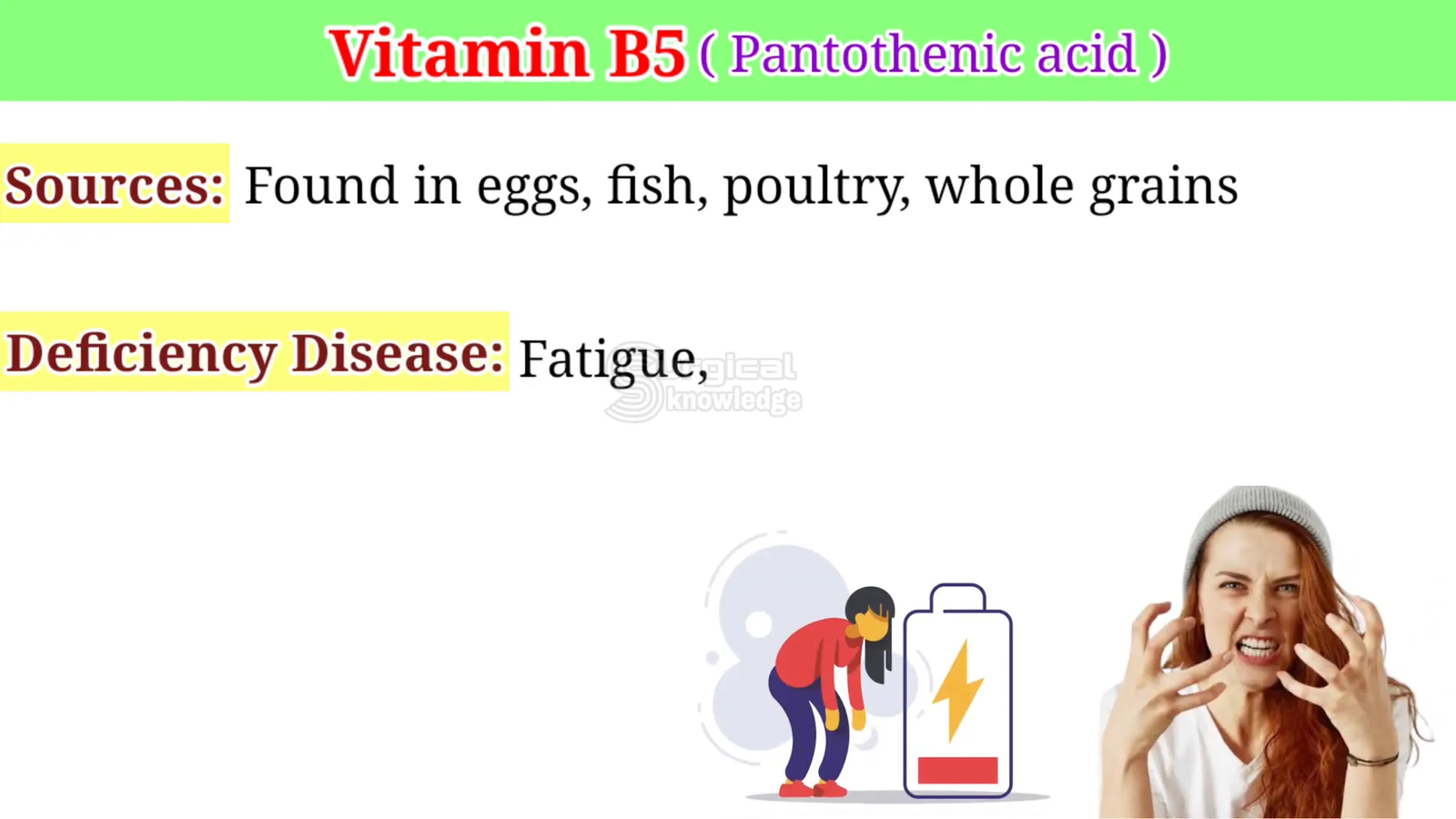 מקורות ויטמין B5