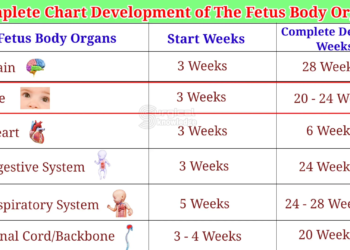 3869816b a673 4a80 a6ff 308a56ff025d