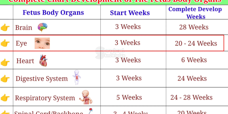 3869816b a673 4a80 a6ff 308a56ff025d