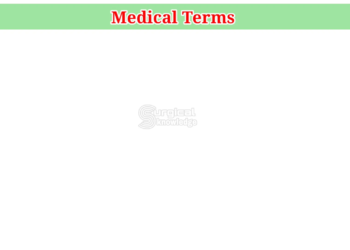 3cff3365 369f 4195 814d 0bf517624baa