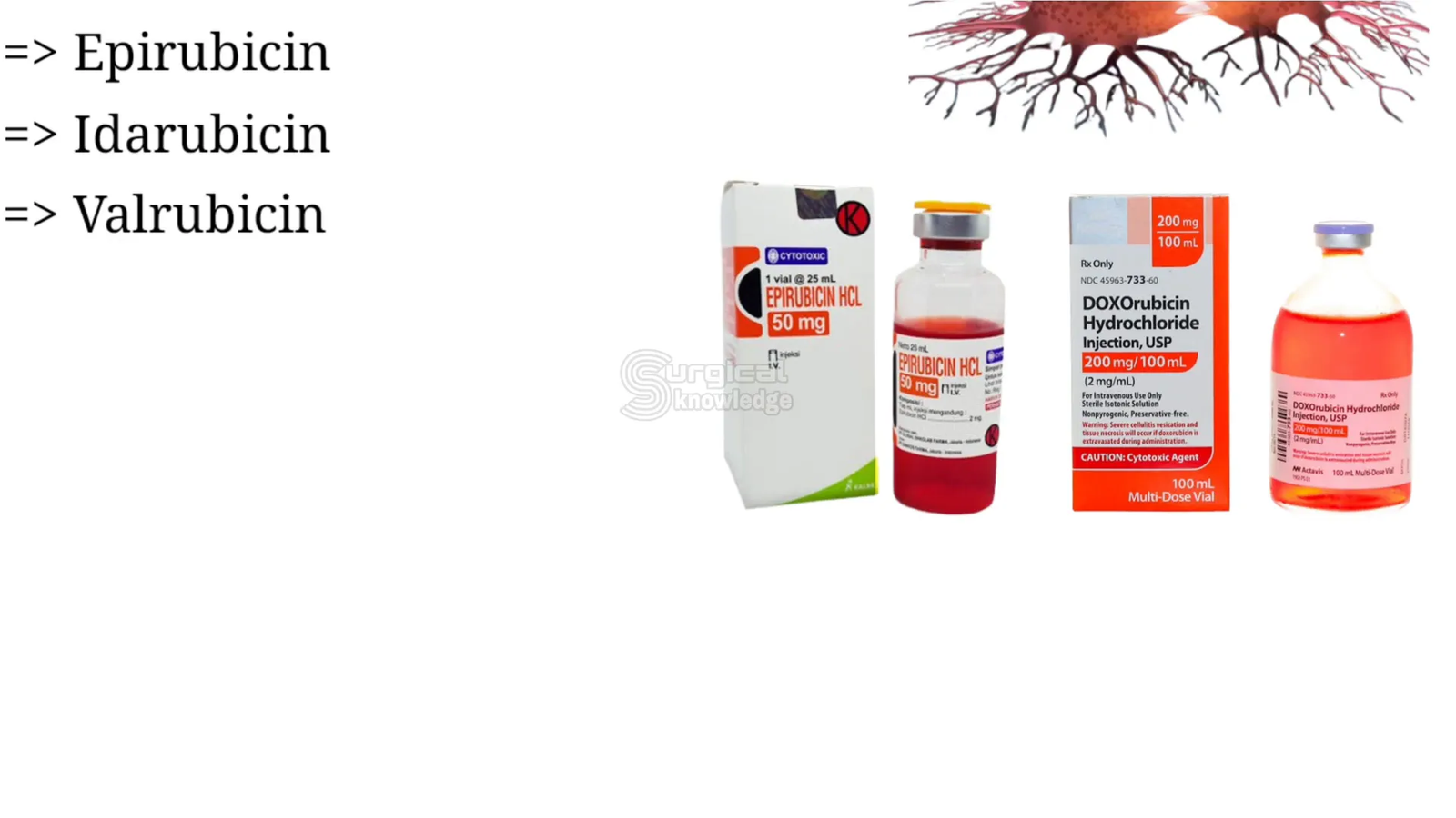 דוגמאות לסופית בסין