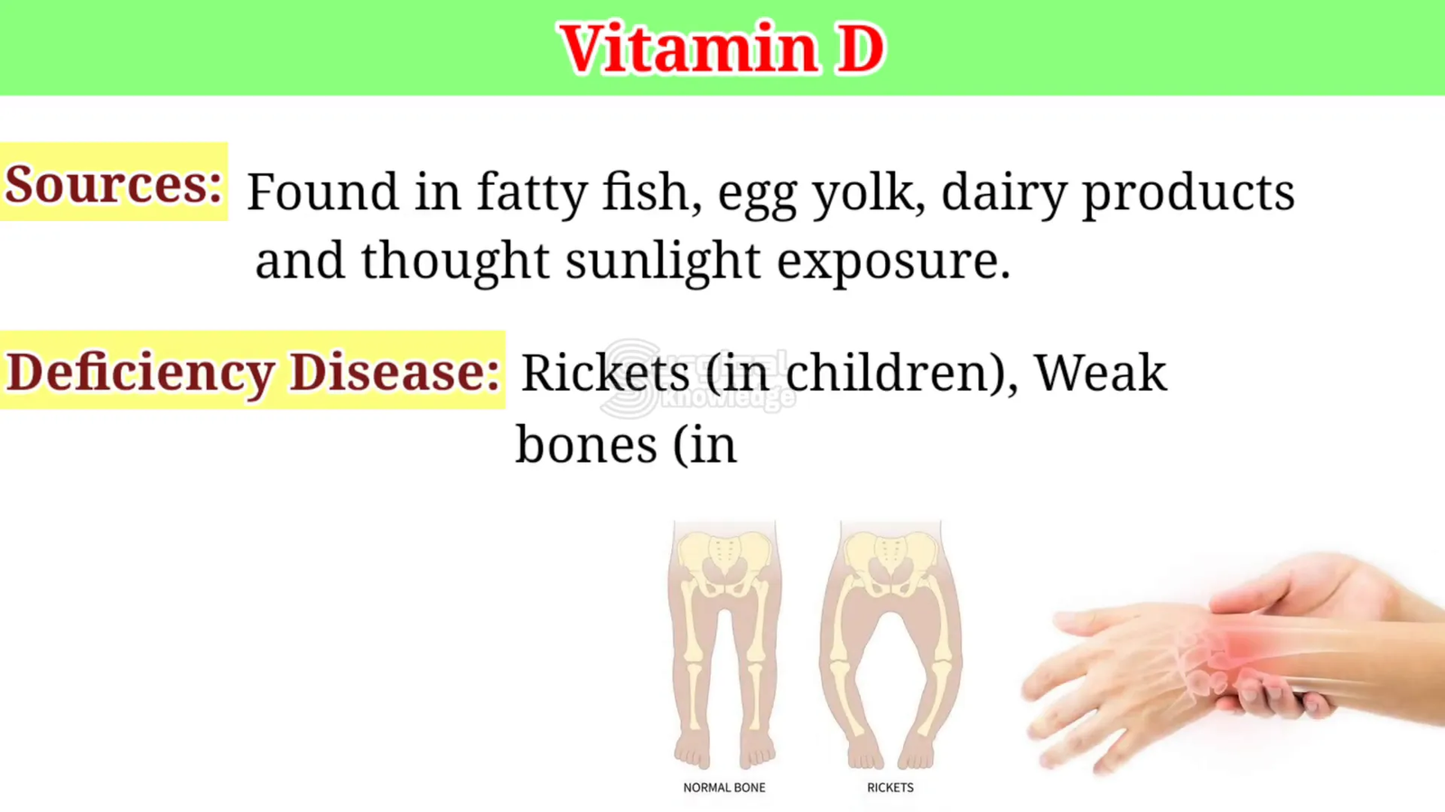 מקורות ויטמין D