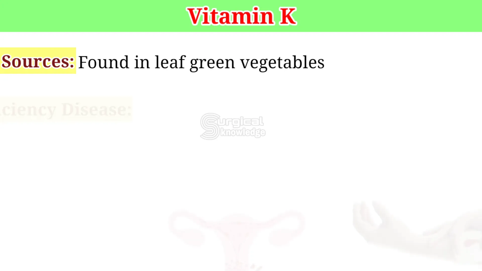 מקורות ויטמין K