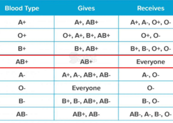2a52821e ff7c 4e36 918b fc44c83e706c