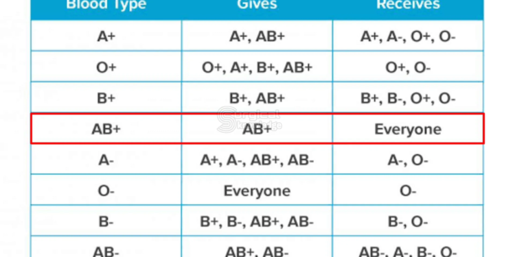 2a52821e ff7c 4e36 918b fc44c83e706c