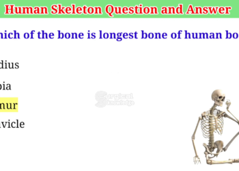 35d9e44d 9b65 4a55 b89c 1ef95e9bdd97