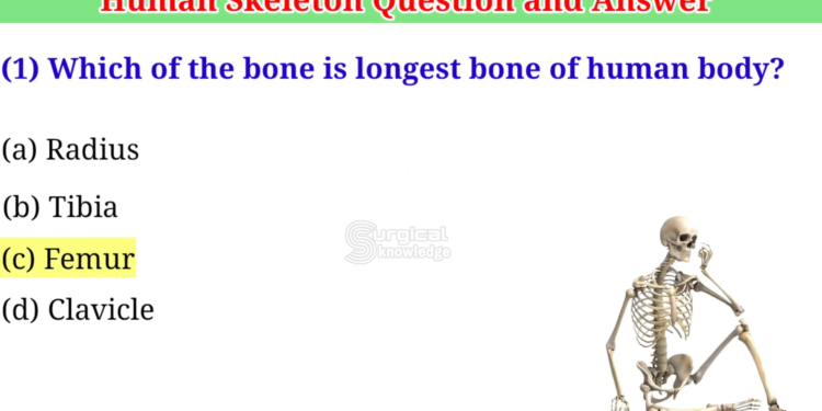 35d9e44d 9b65 4a55 b89c 1ef95e9bdd97