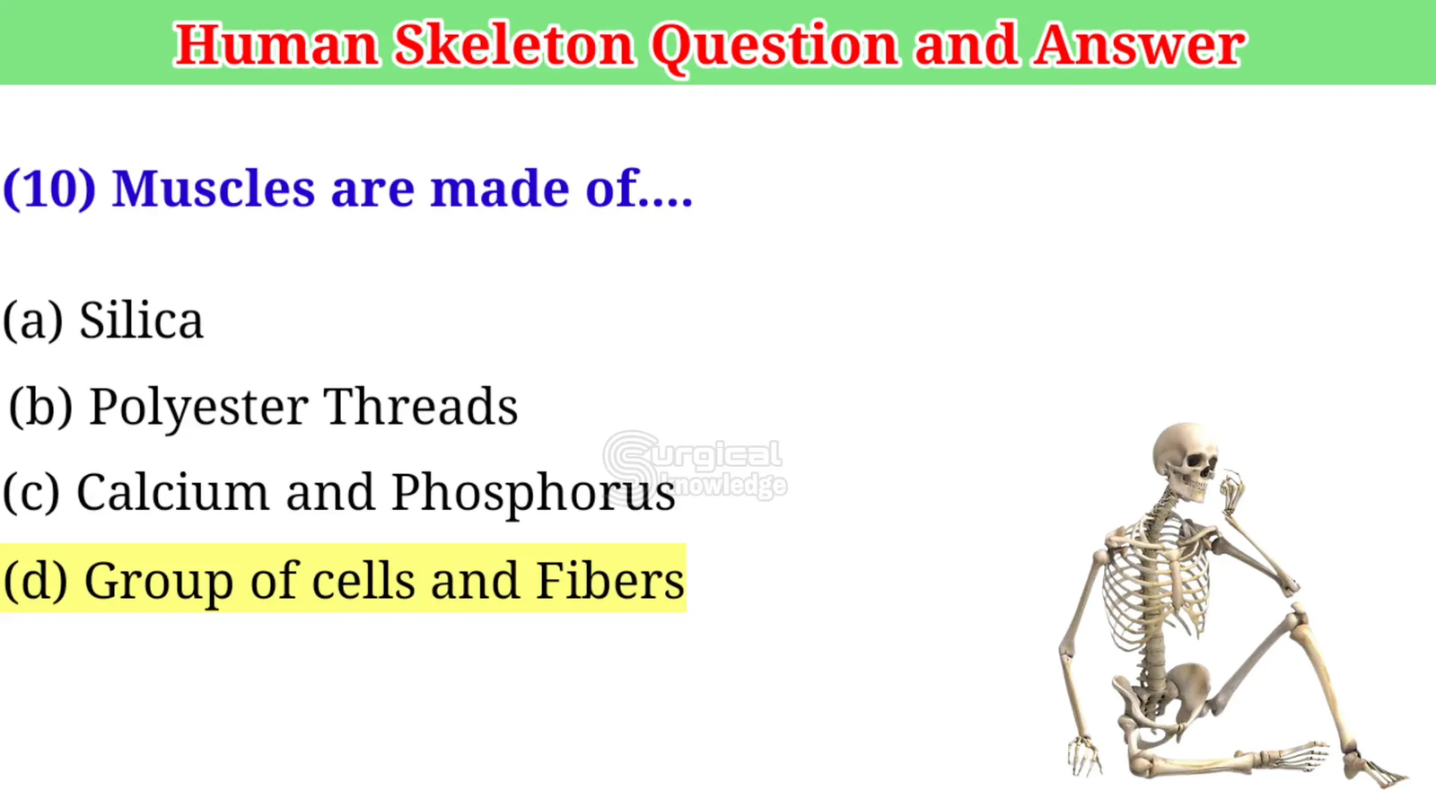 מבנה השרירים בגוף האדם