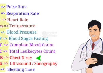 5c3eb93c aef4 4e47 9a5f 21684eea7ea7