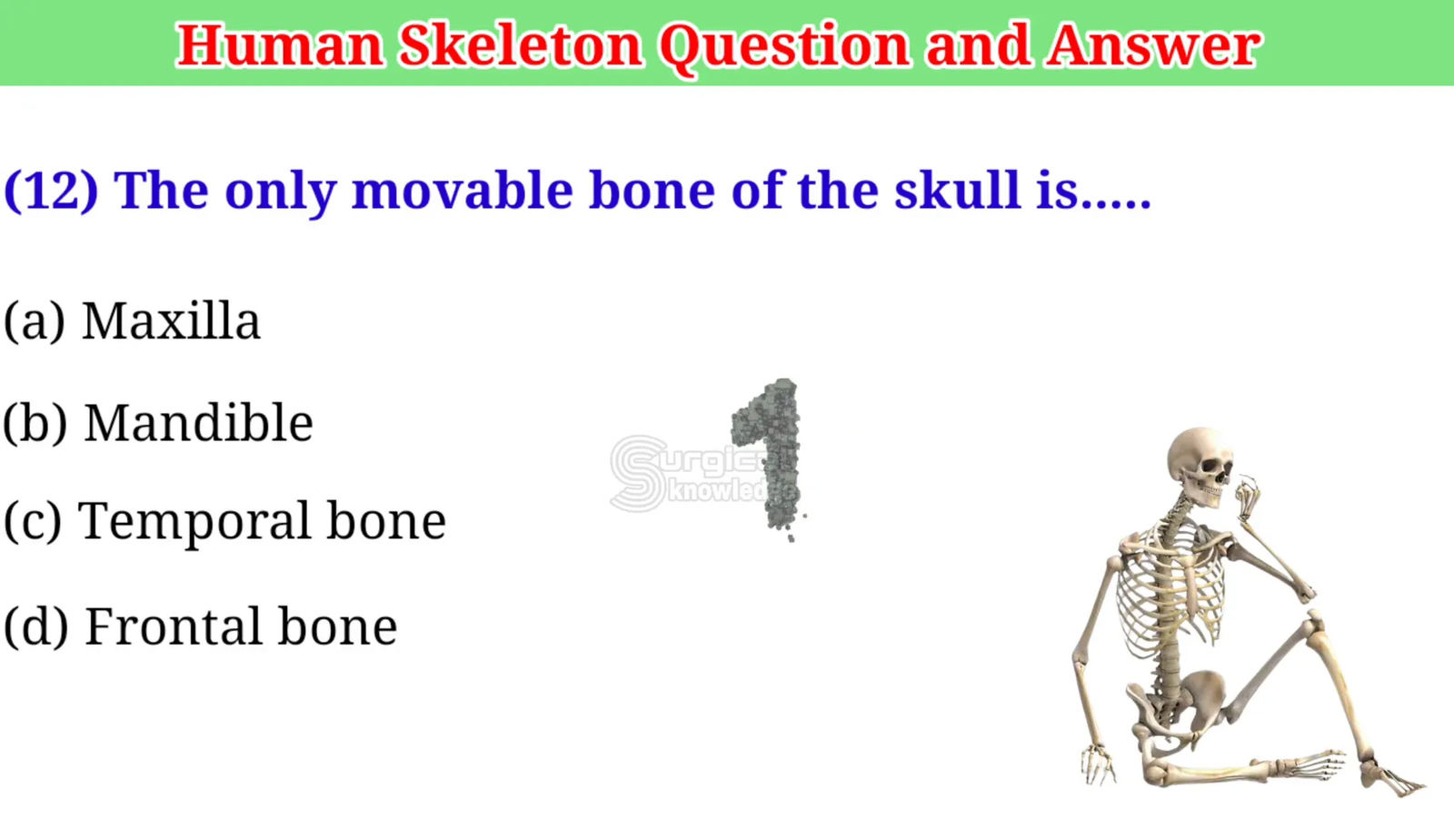 העצם המנדיבולרית בגולגולת