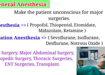 9a09a49a cb0e 4072 b140 9a4624b62551