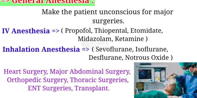 9a09a49a cb0e 4072 b140 9a4624b62551