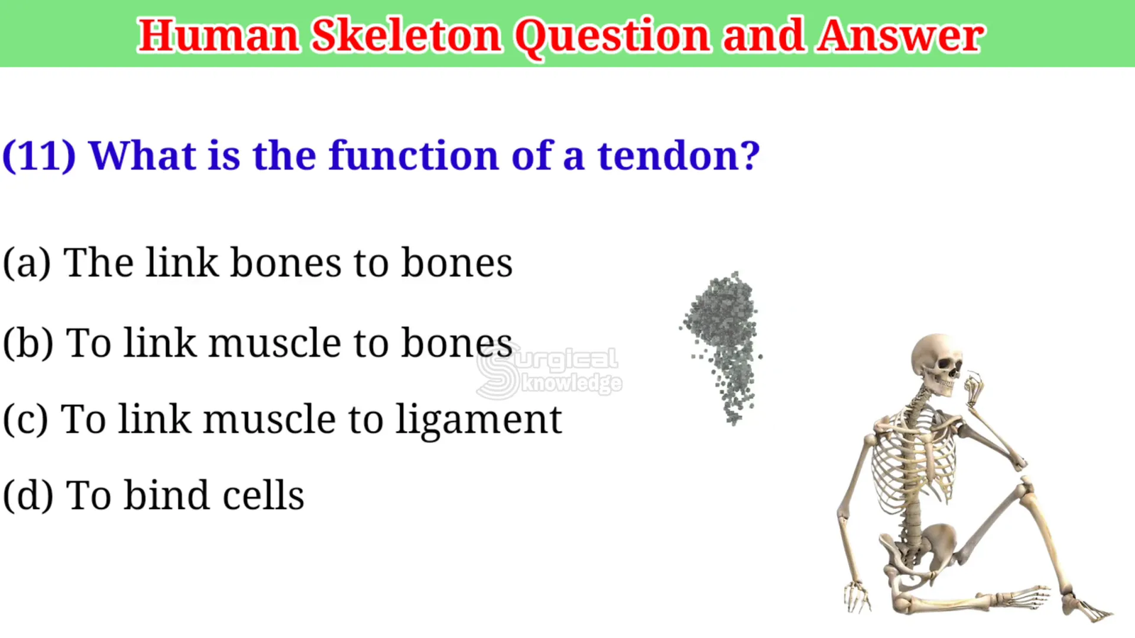 תפקיד הגידים בגוף האדם